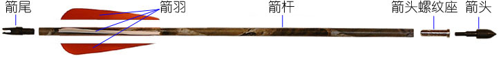 箭的结构
